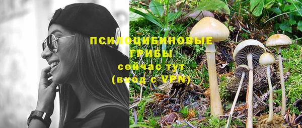 mdpv Краснослободск