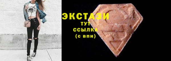 крисы Корсаков