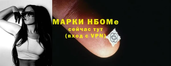 mdpv Краснослободск