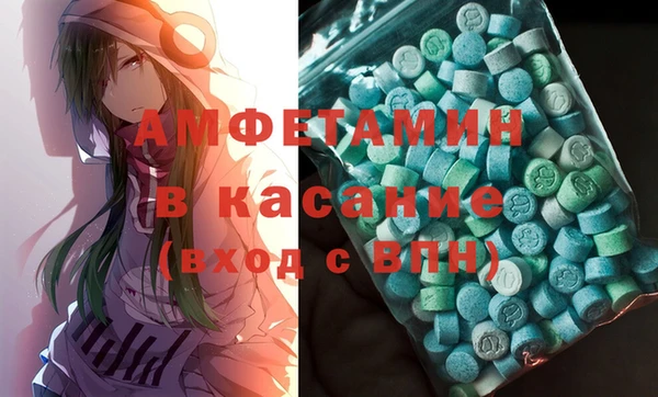 крисы Корсаков