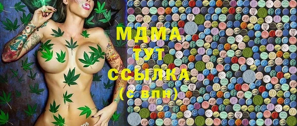 mdpv Краснослободск