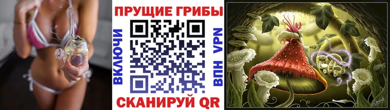 Псилоцибиновые грибы Cubensis  Купить  Нариманов 